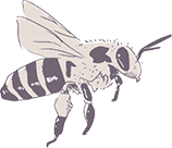 beeeeee